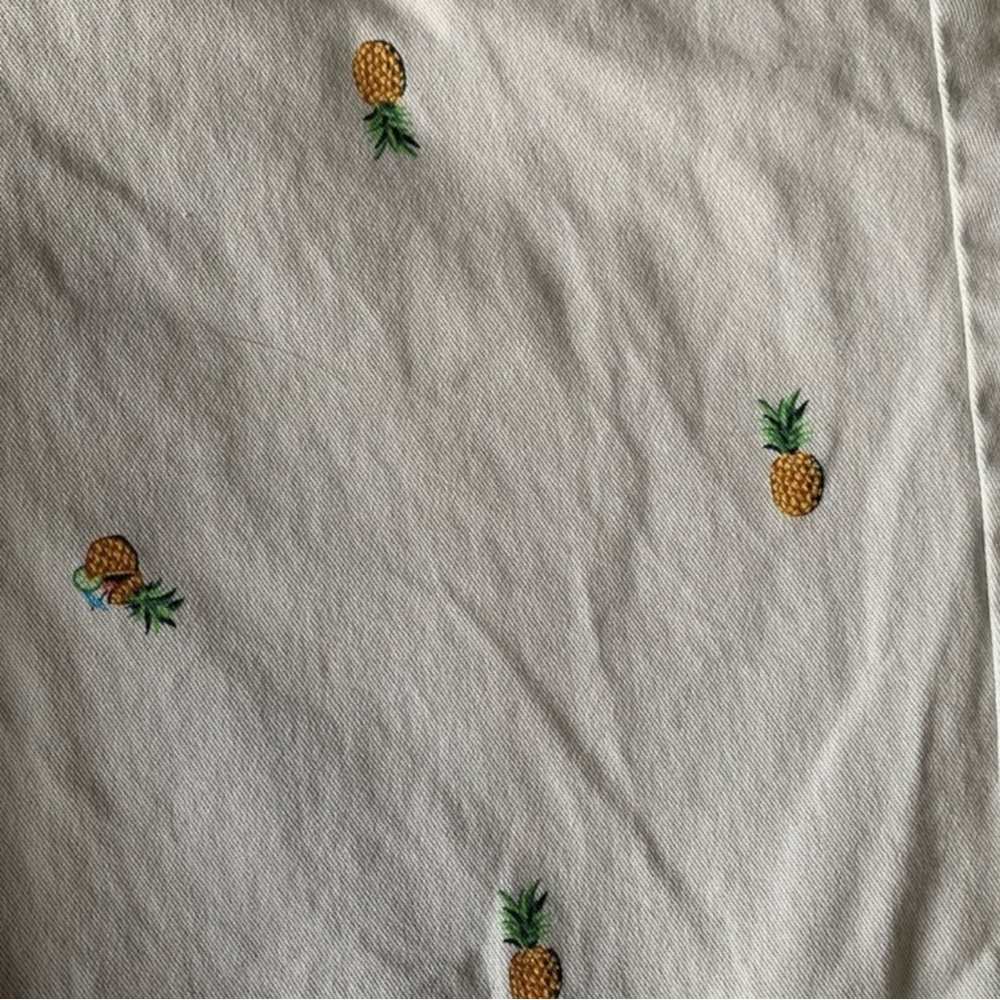 OLD NAVY Men’s Pineapple Print Cotton Shorts in Lt. Tan Size 32 — FUN!!! - Picture 4 of 7
